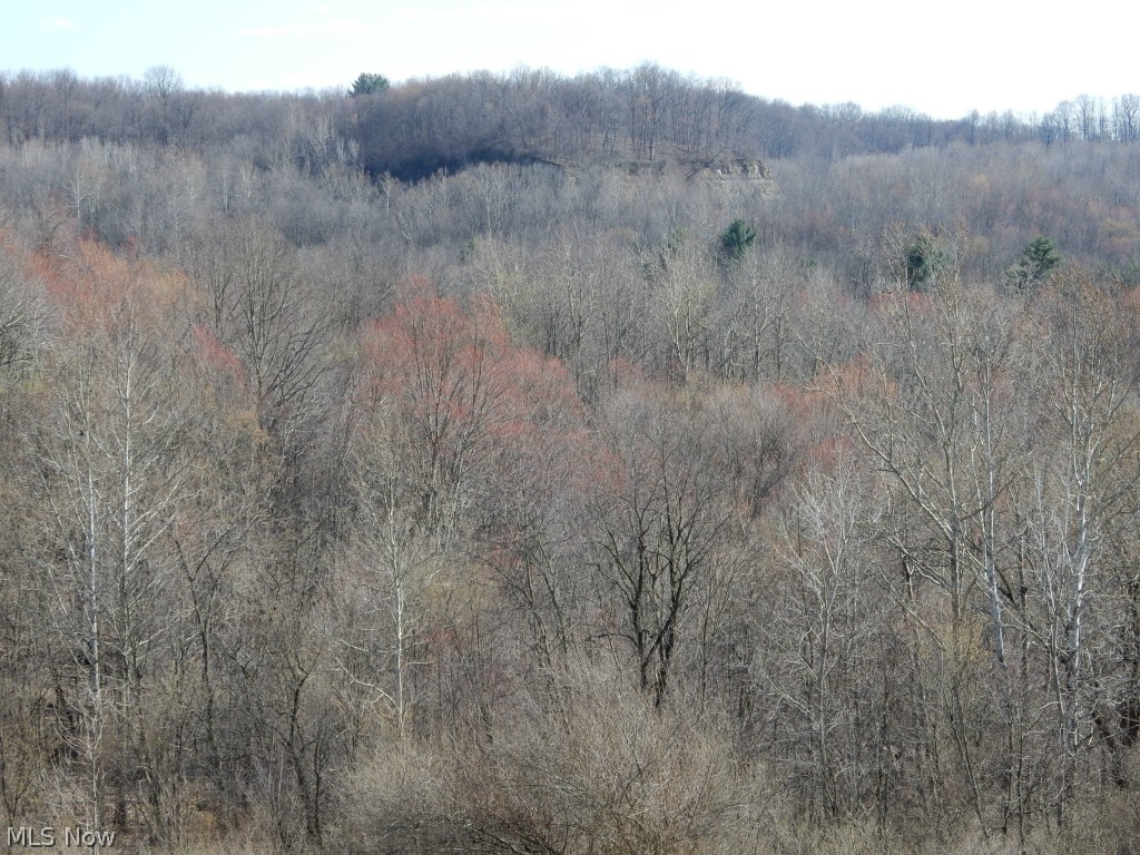 Aubihl Road New Philadelphia, OH 44663 - Photo 20 of 20 Gallery Image 20