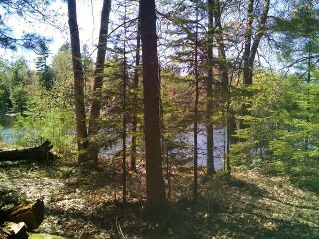 Near4063 Chain O Lakes Road Eagle River, WI 54521 - Photo 6 of 9 Gallery Image 6