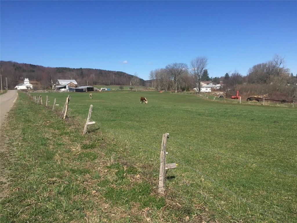 10014 State Rte 21 Wayland, NY 14826 - Photo 1 of 1 Gallery Image 1