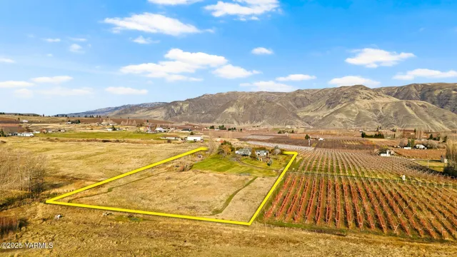 a view of a house with a yard and potted plants