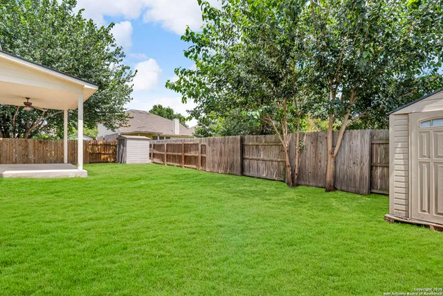 a view of backyard with a garden and plants