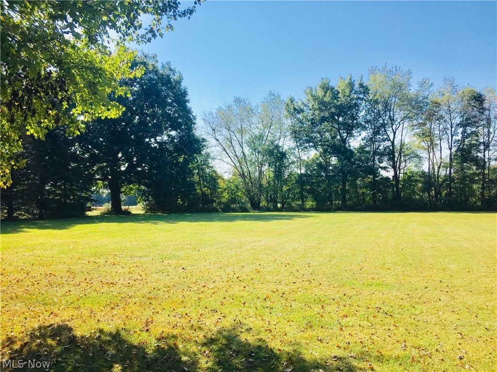 8356 South Cleveland Massillon Road Clinton, OH 44216 - Photo 14 of 30 VIEW OF THE BACKYARD