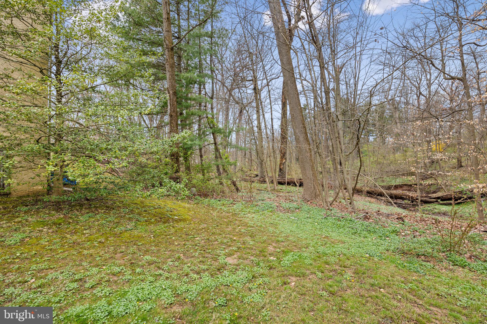 124 Rue Charmille Road Fort Washington, PA 19034 - Photo 31 of 31 Rear Yard