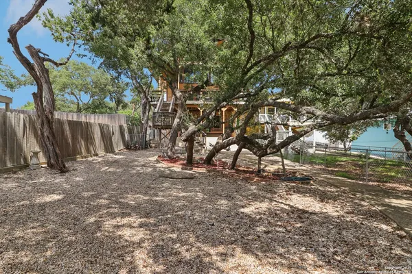 a view of a tree in the middle of a yard