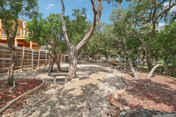 a view of a yard with plants and trees