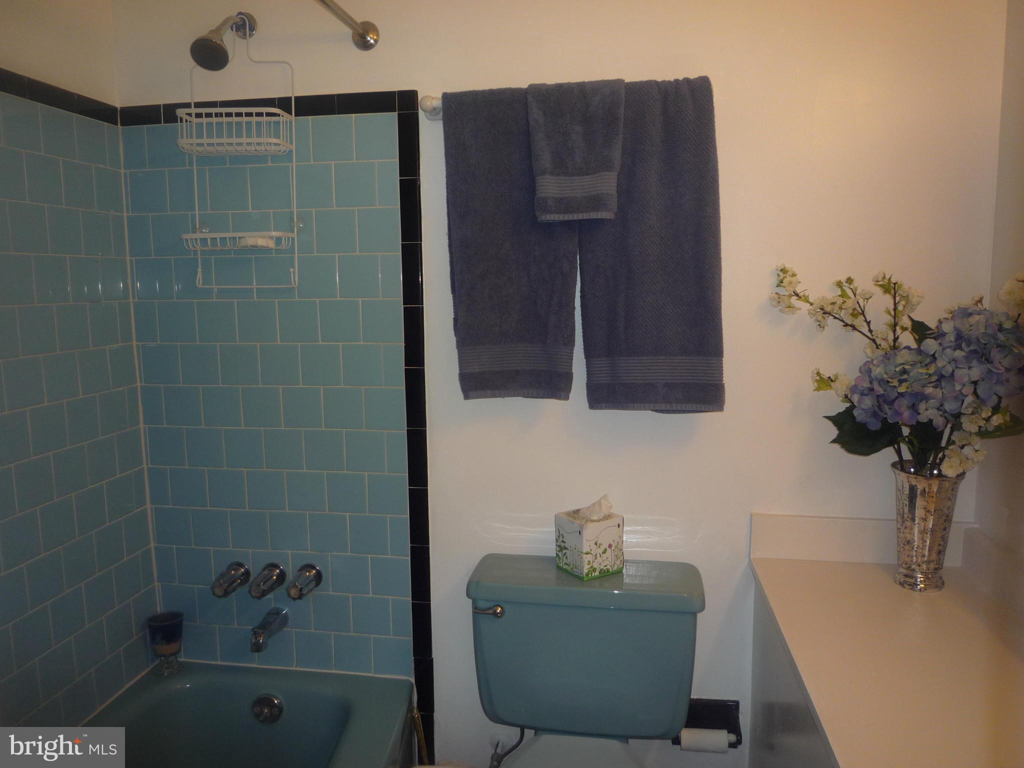 702 Shirley Manor Road Reisterstown, MD 21136 - Photo 16 of 26 Bath (Master)