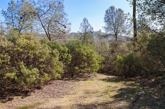 a view of a yard with plants and trees