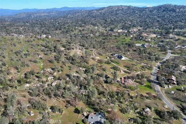 a view of a dry yard with and trees