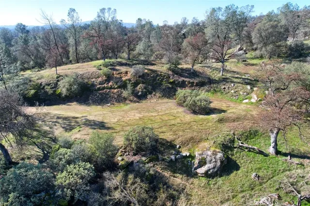 a view of a dry yard with trees