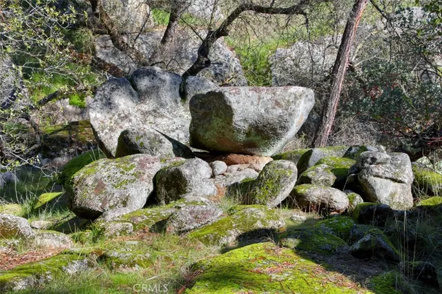a bunch of flowers and covered with green space