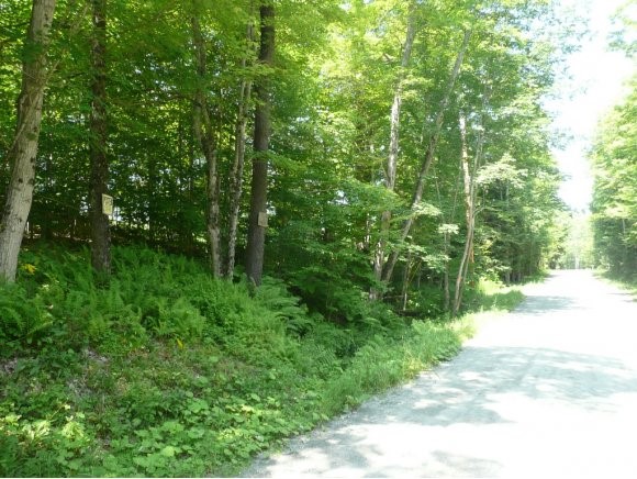 Banister Road West Windsor, VT 05089 - Photo 1 of 1