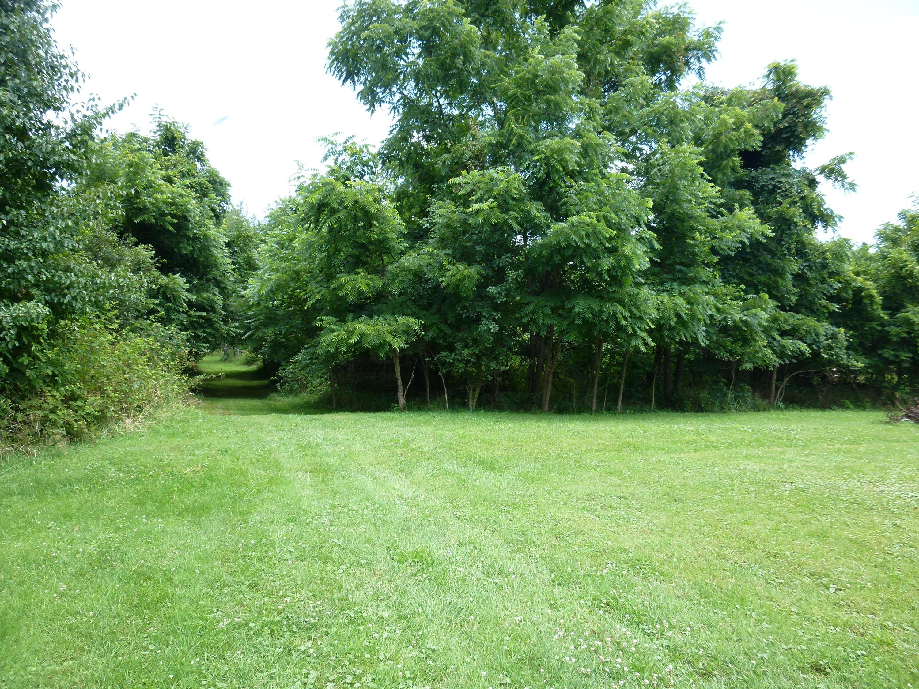 7611 Lewis Center Road Galena, OH 43021 - Photo 12 of 21 Gallery Image 12