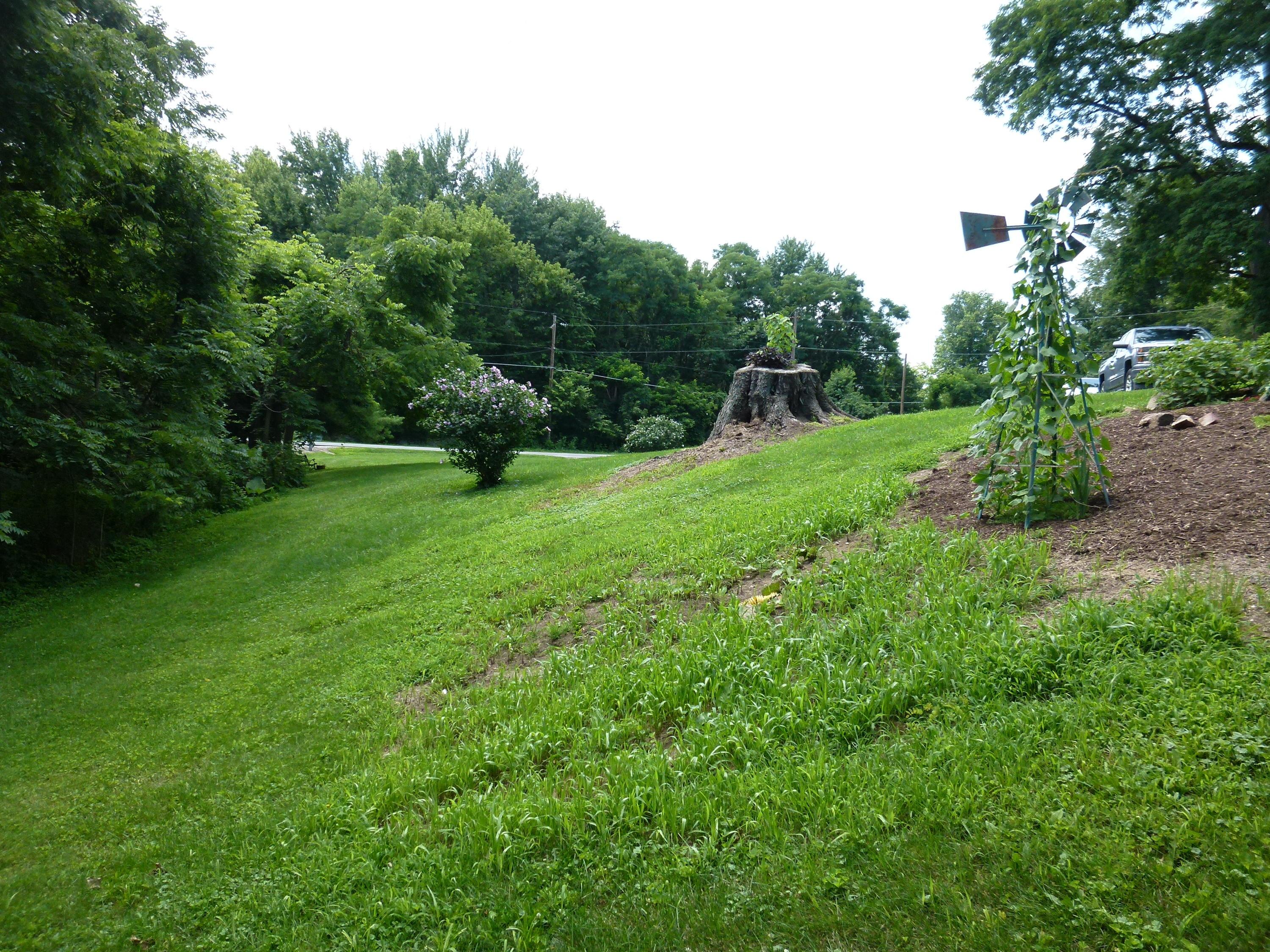7611 Lewis Center Road Galena, OH 43021 - Photo 5 of 21 Gallery Image 5