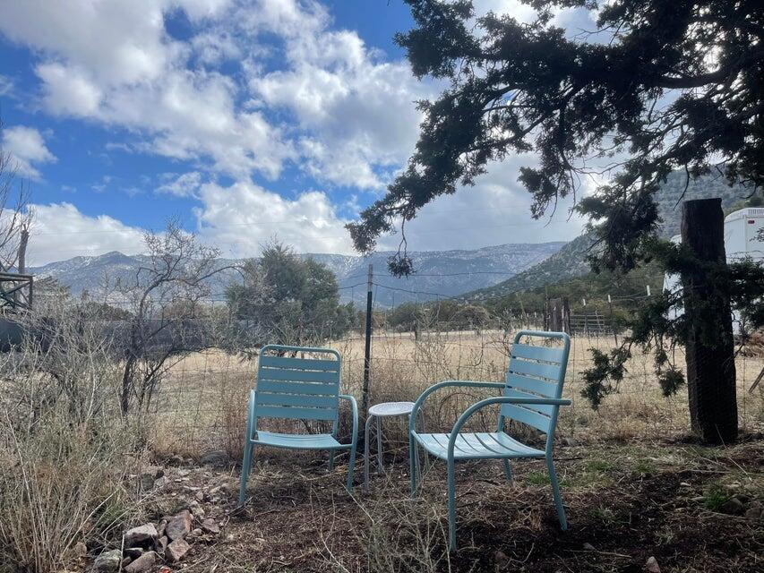 175 Hop Canyon Road Magdalena, NM 87825 - Photo 9 of 55 Gallery Image 9