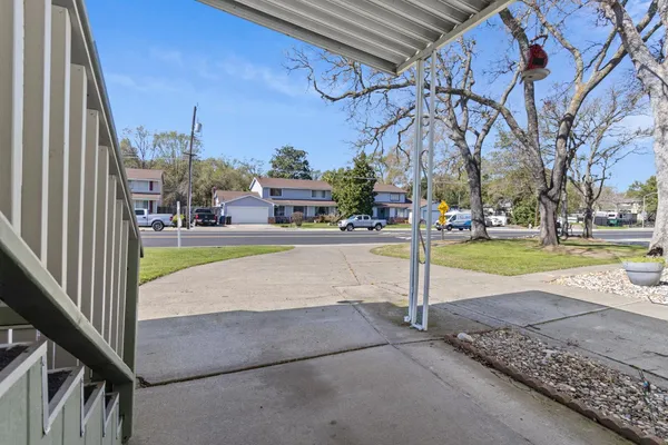 a view of a park with potted plants
