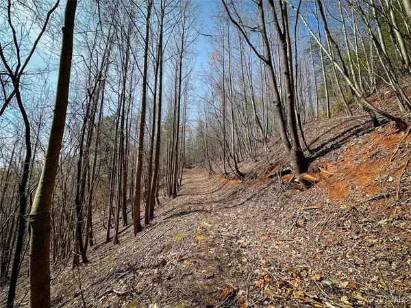 $630,000 | 180 Acres (off Of) Willard Creek Lane, Stuart, VA 24171