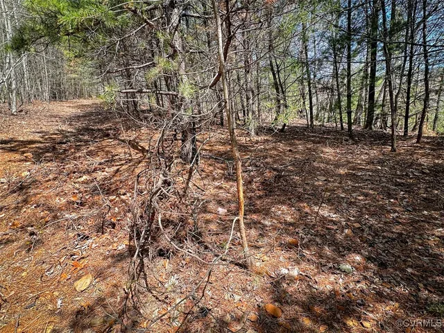 $630,000 | 180 Acres (off Of) Willard Creek Lane, Stuart, VA 24171