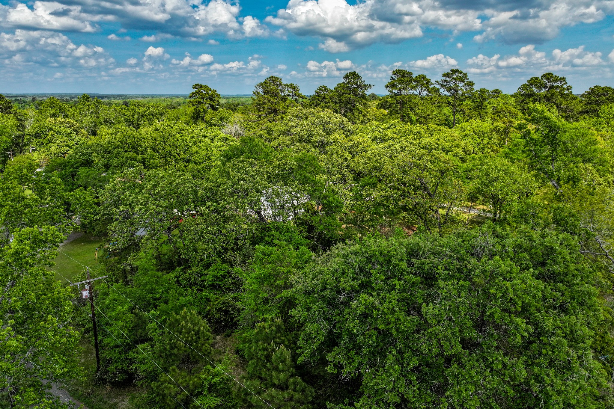 164 Lakeland Road Huntsville, TX 77320 - Photo 4 of 21