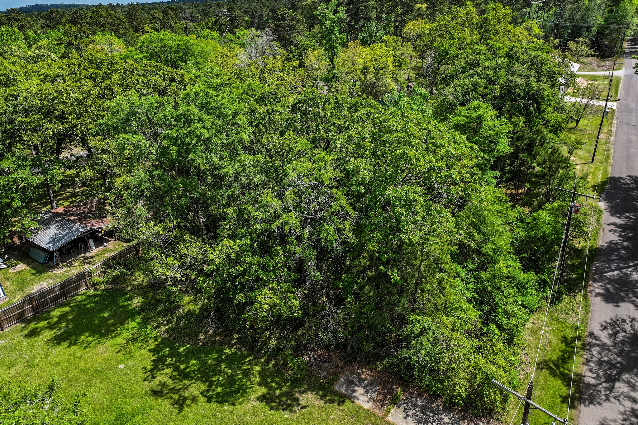 164 Lakeland Road Huntsville, TX 77320 - Photo 5 of 21