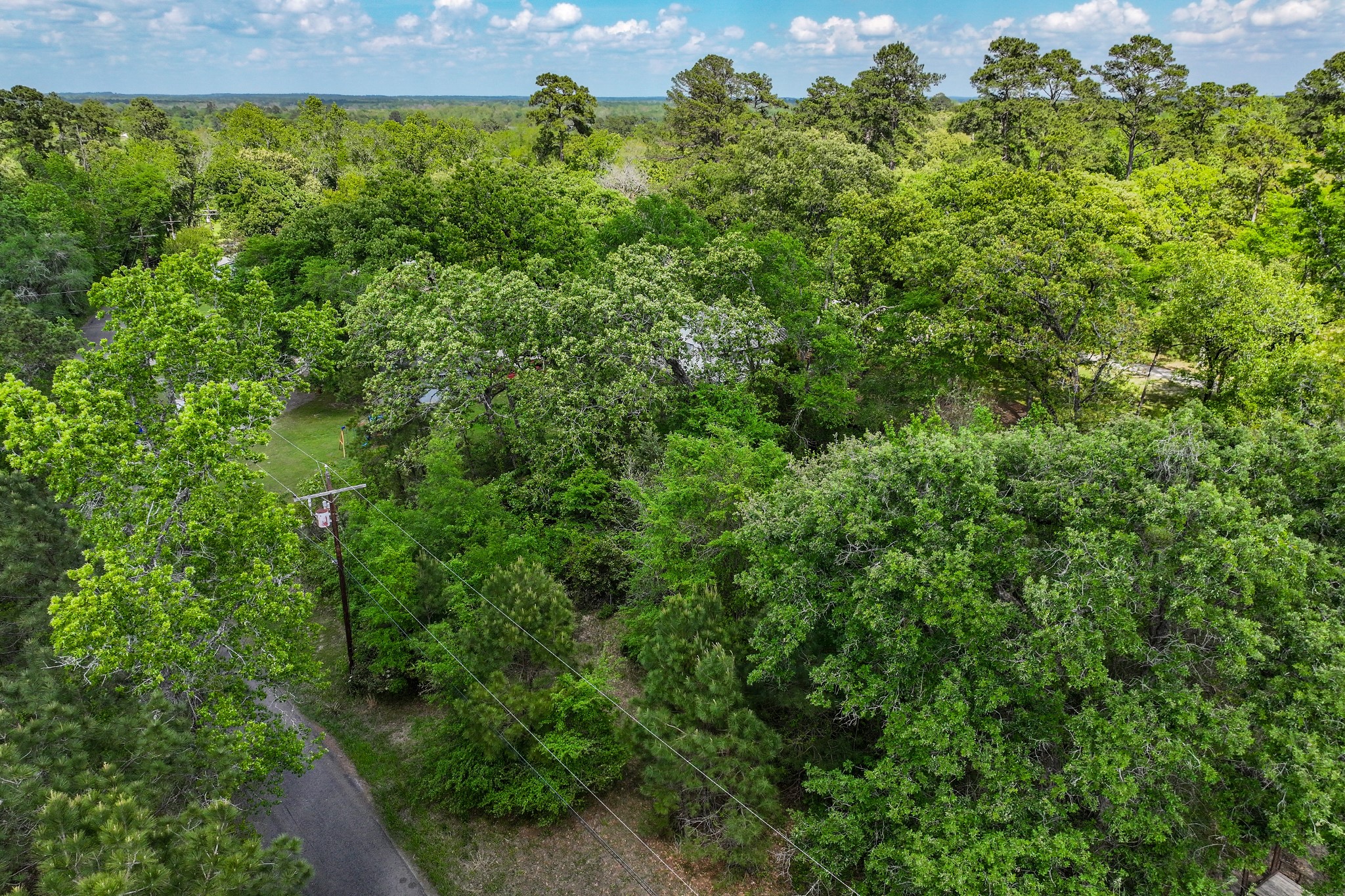 164 Lakeland Road Huntsville, TX 77320 - Photo 6 of 21