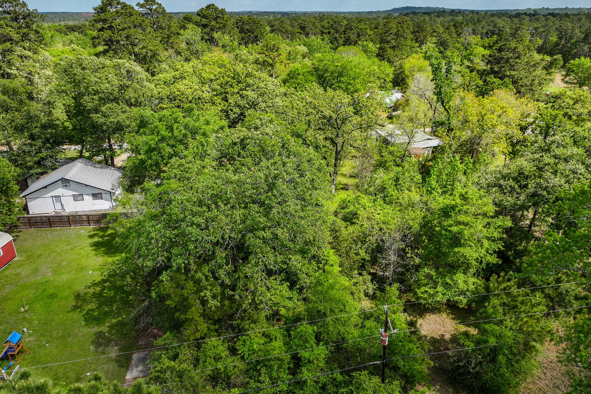164 Lakeland Road Huntsville, TX 77320 - Photo 7 of 21