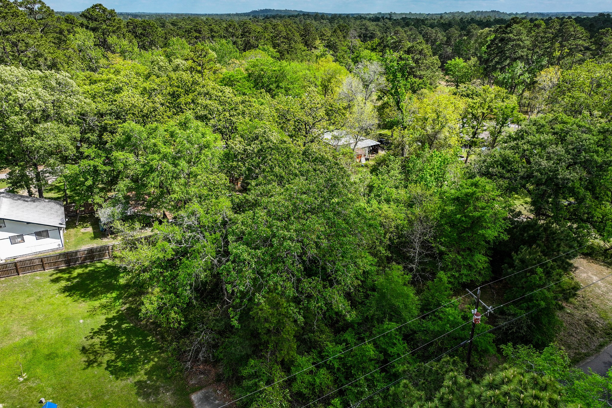 164 Lakeland Road Huntsville, TX 77320 - Photo 9 of 21