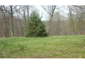 6579 East Lampkins Ridge Road Bloomington, IN 47401 - Photo 12 of 15