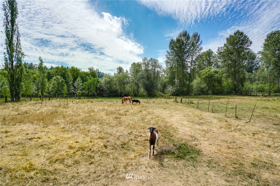16515 Southeast May Valley Road Renton, WA 98059 - Photo 9 of 23