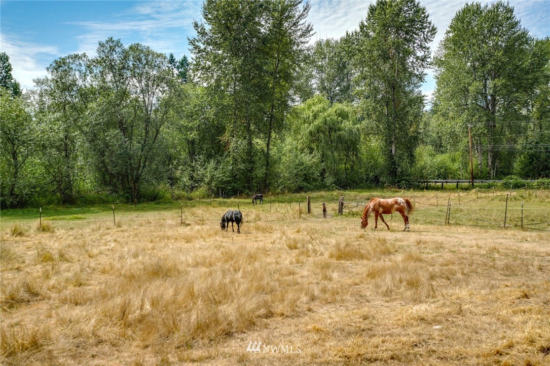 16515 Southeast May Valley Road Renton, WA 98059 - Photo 10 of 23