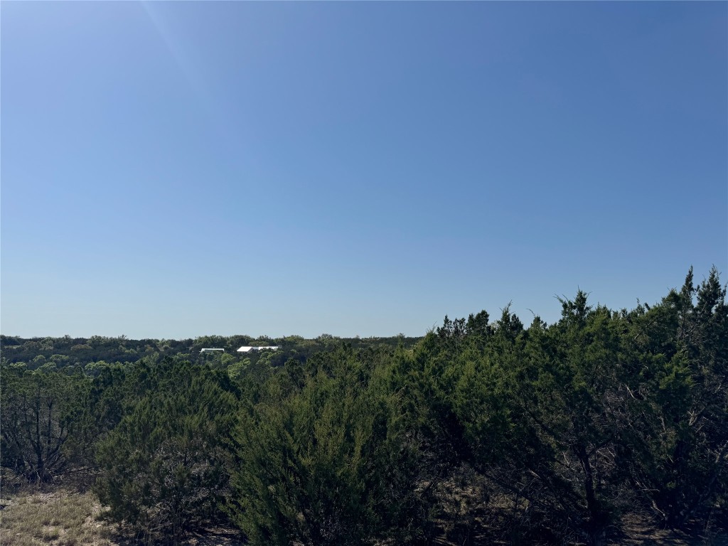 Lot 53 Balcones Ridge Way Bertram, TX 78605 - Photo 4 of 11