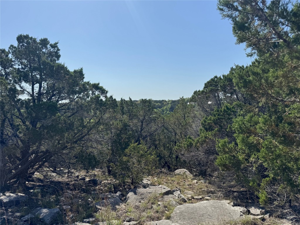 Lot 53 Balcones Ridge Way Bertram, TX 78605 - Photo 8 of 11