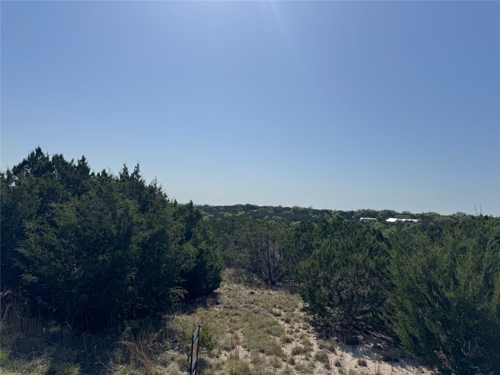 Lot 53 Balcones Ridge Way Bertram, TX 78605 - Photo 10 of 11