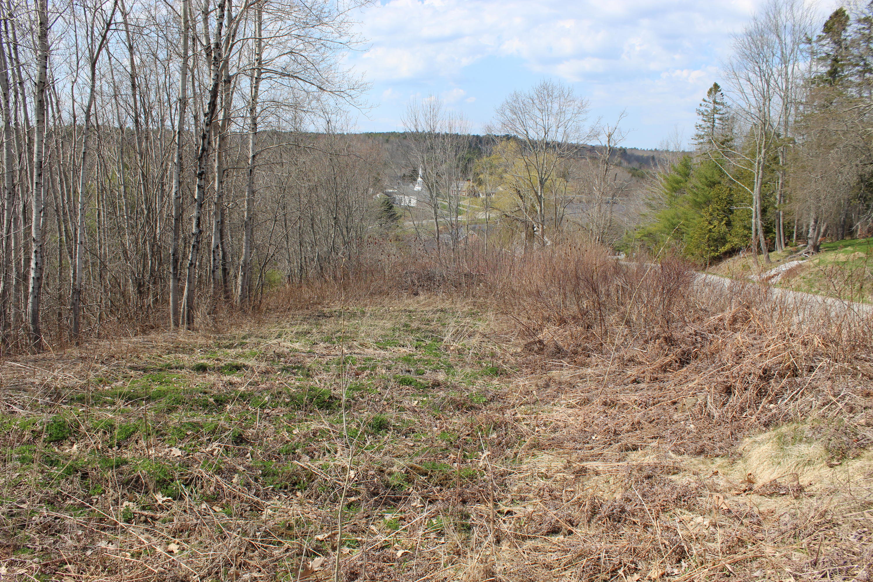 0 Dark Mountain Road Orland, ME 04472 - Photo 2 of 7 IMG_8368