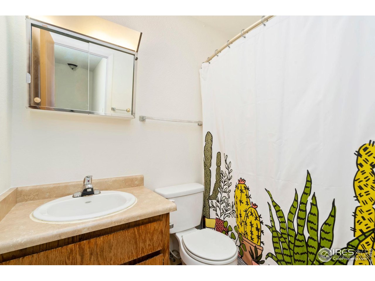 1737 Springmeadows Court, Unit A Fort Collins, CO 80525 - Photo 15 of 20