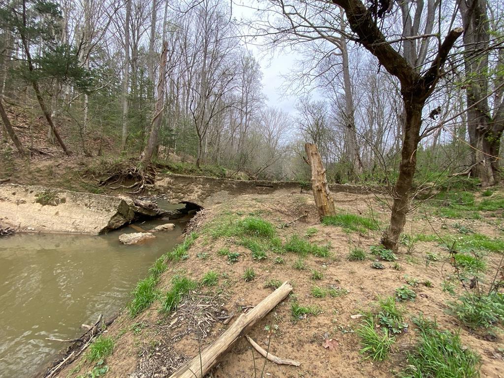 539 Landfill Road Baskerville, VA 23915 - Photo 34 of 38 Remains of the Old Mill