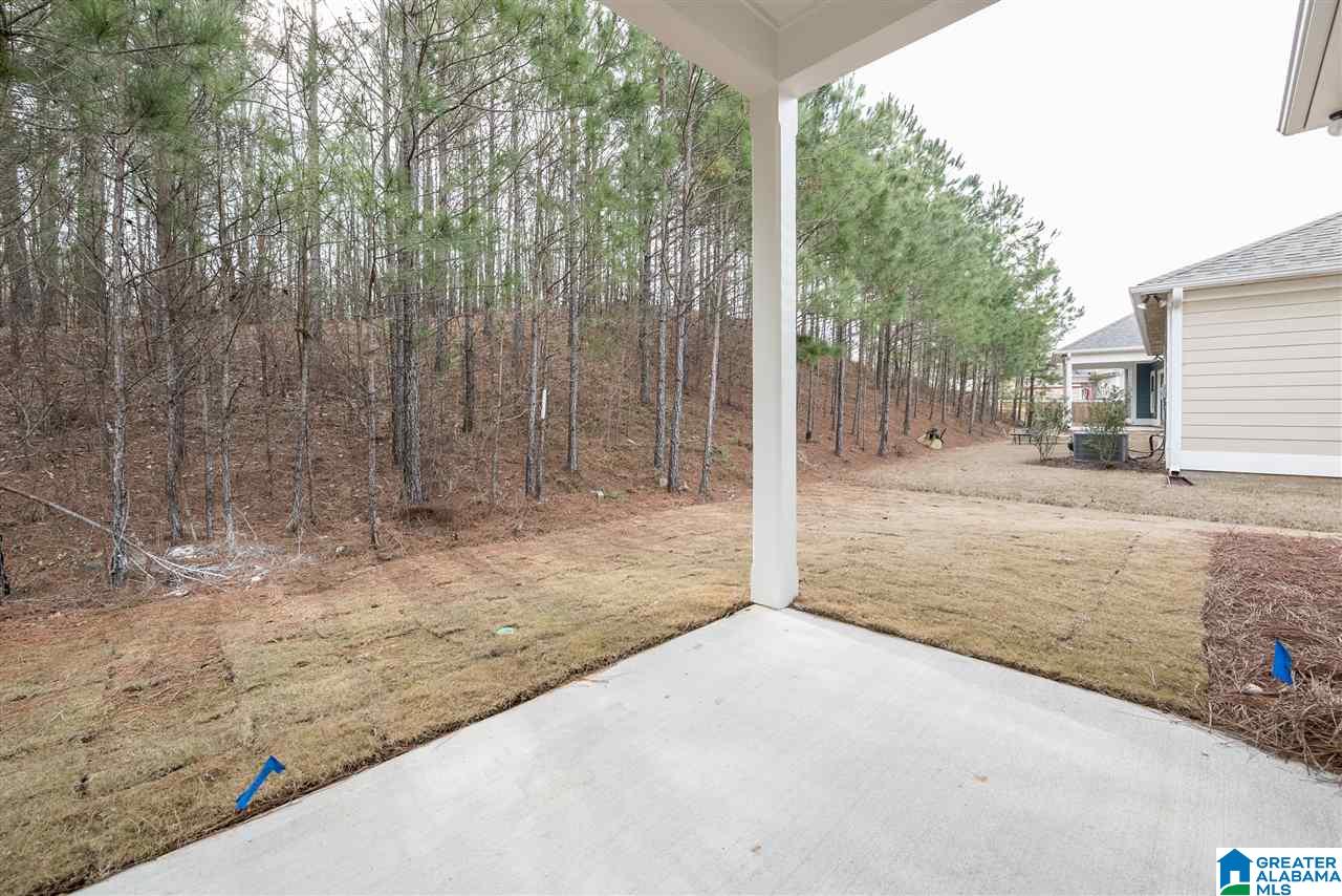 224 Rowntree Path Helena, AL 35080 - Photo 43 of 50