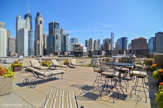 111 West Maple Street, Unit 1110 Chicago, IL 60610 - Photo 20 of 23 a view of a city with tall buildings