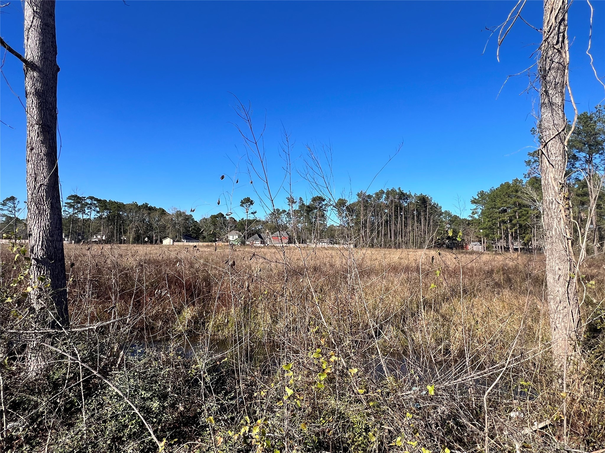 0 Lady Bug Court Porter, TX 77365 - Photo 11 of 14