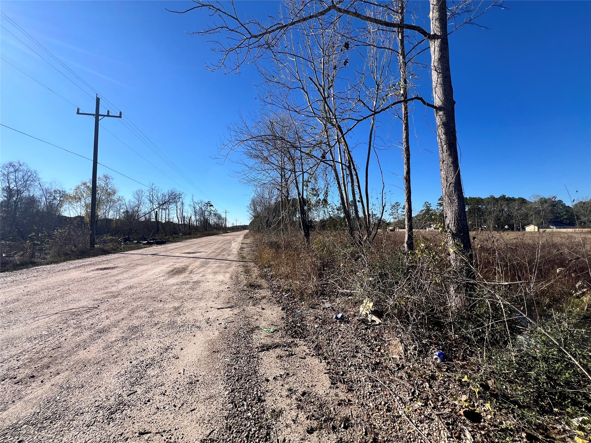 0 Lady Bug Court Porter, TX 77365 - Photo 12 of 14 a view of a backyard of the house