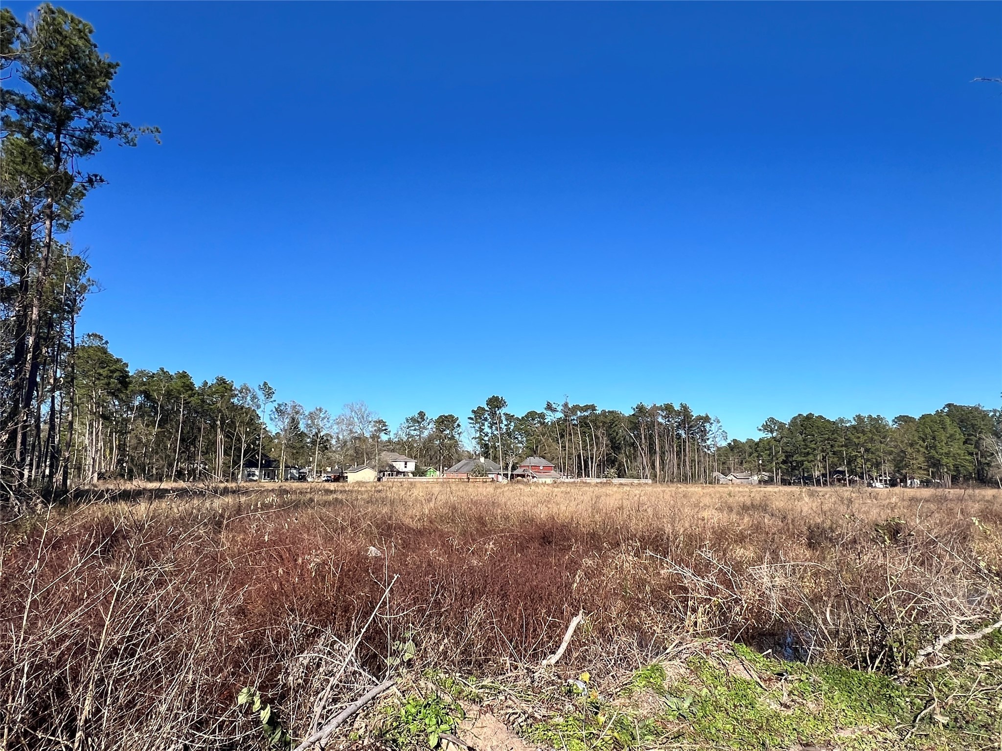 0 Lady Bug Court Porter, TX 77365 - Photo 13 of 14 a view of a field with trees in background