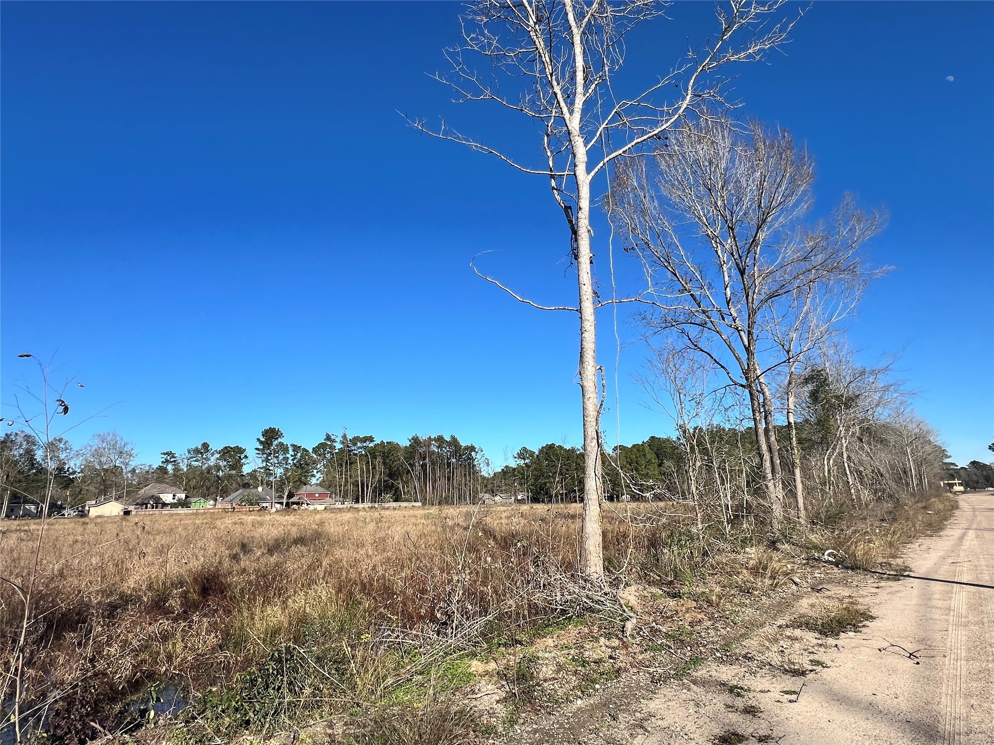 0 Lady Bug Court Porter, TX 77365 - Photo 14 of 14 a view of a back yard