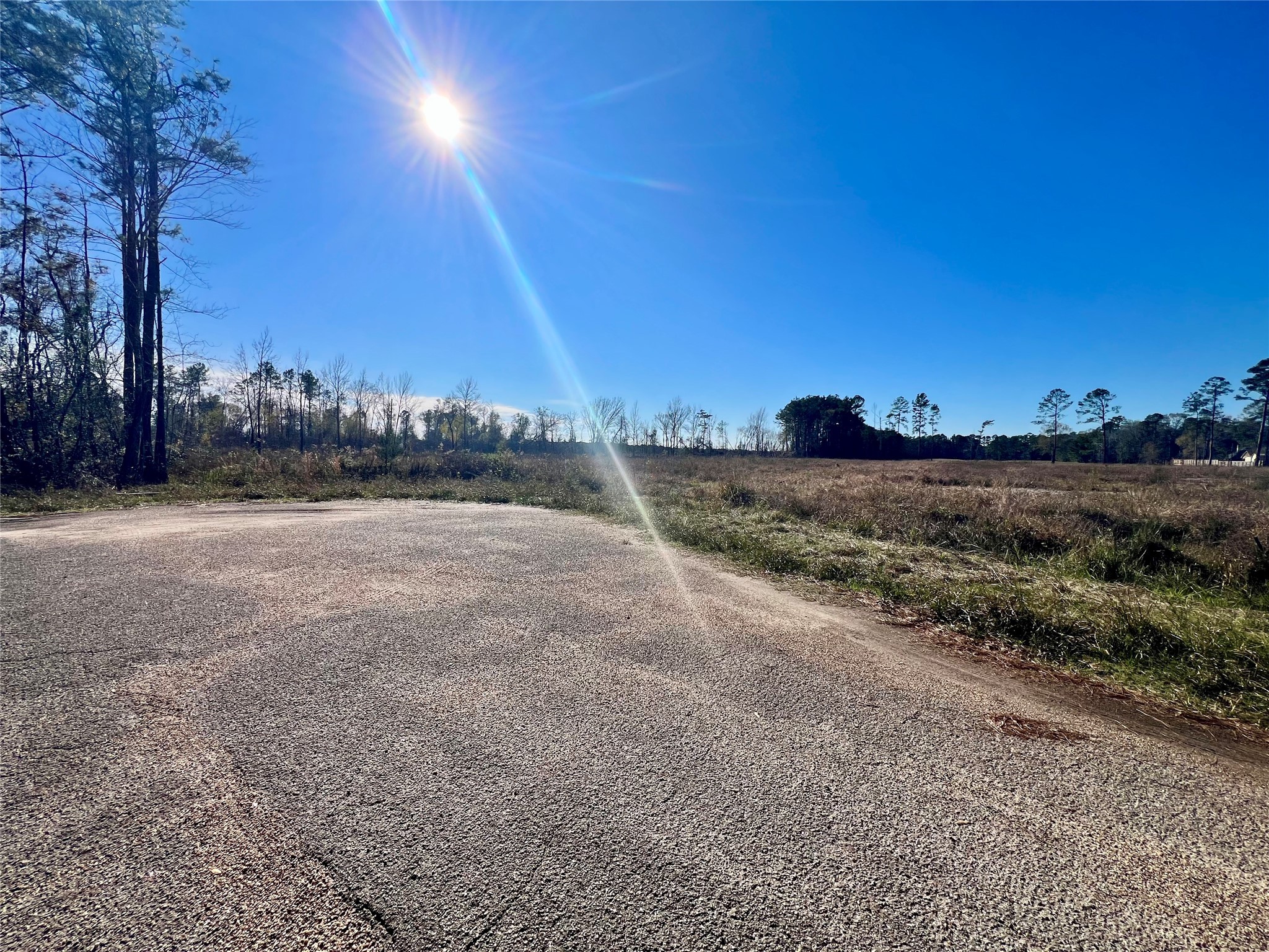 0 Lady Bug Court Porter, TX 77365 - Photo 5 of 14 a view of a field with trees in the background