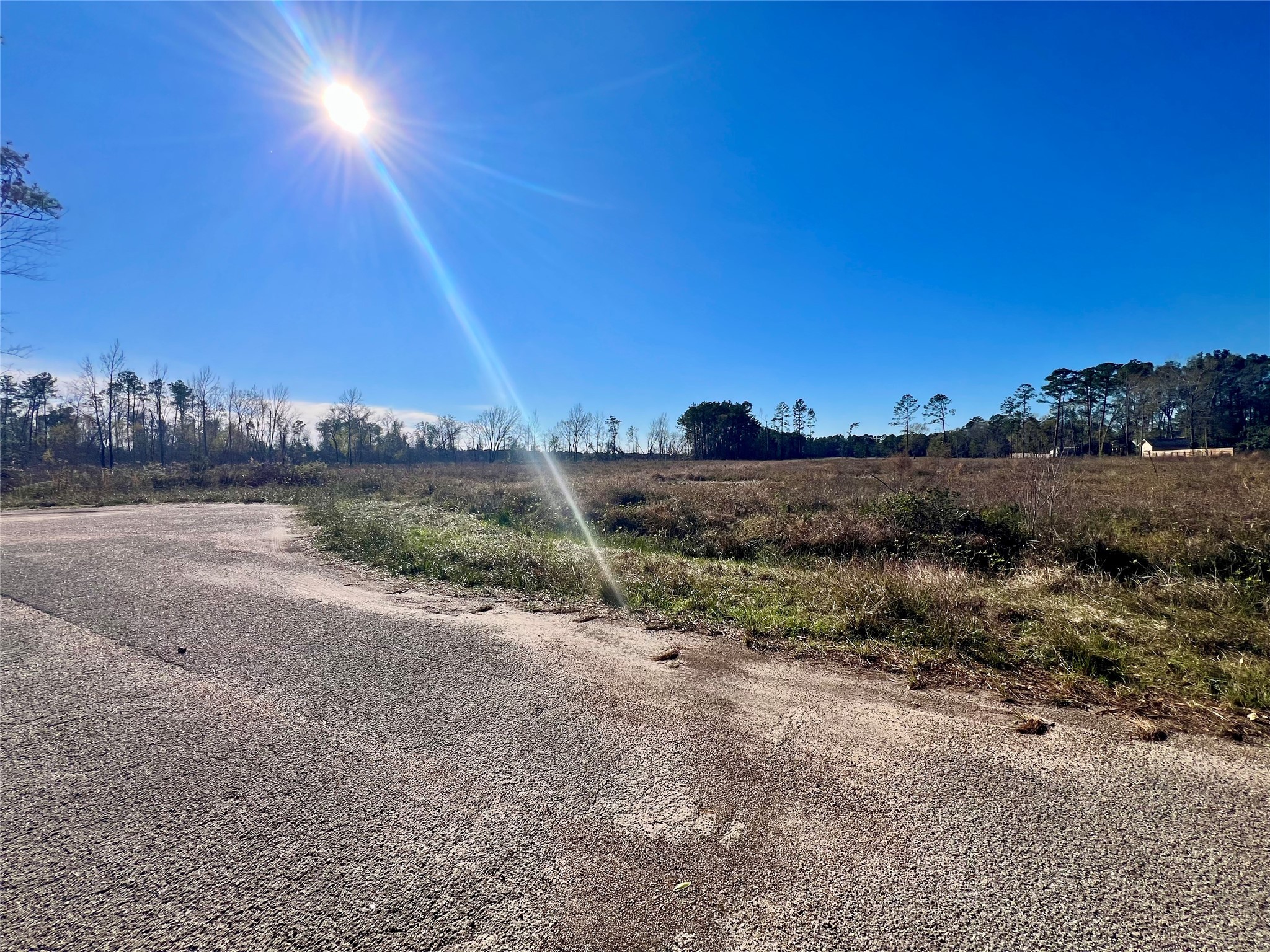 0 Lady Bug Court Porter, TX 77365 - Photo 6 of 14 a view of a road with an ocean view
