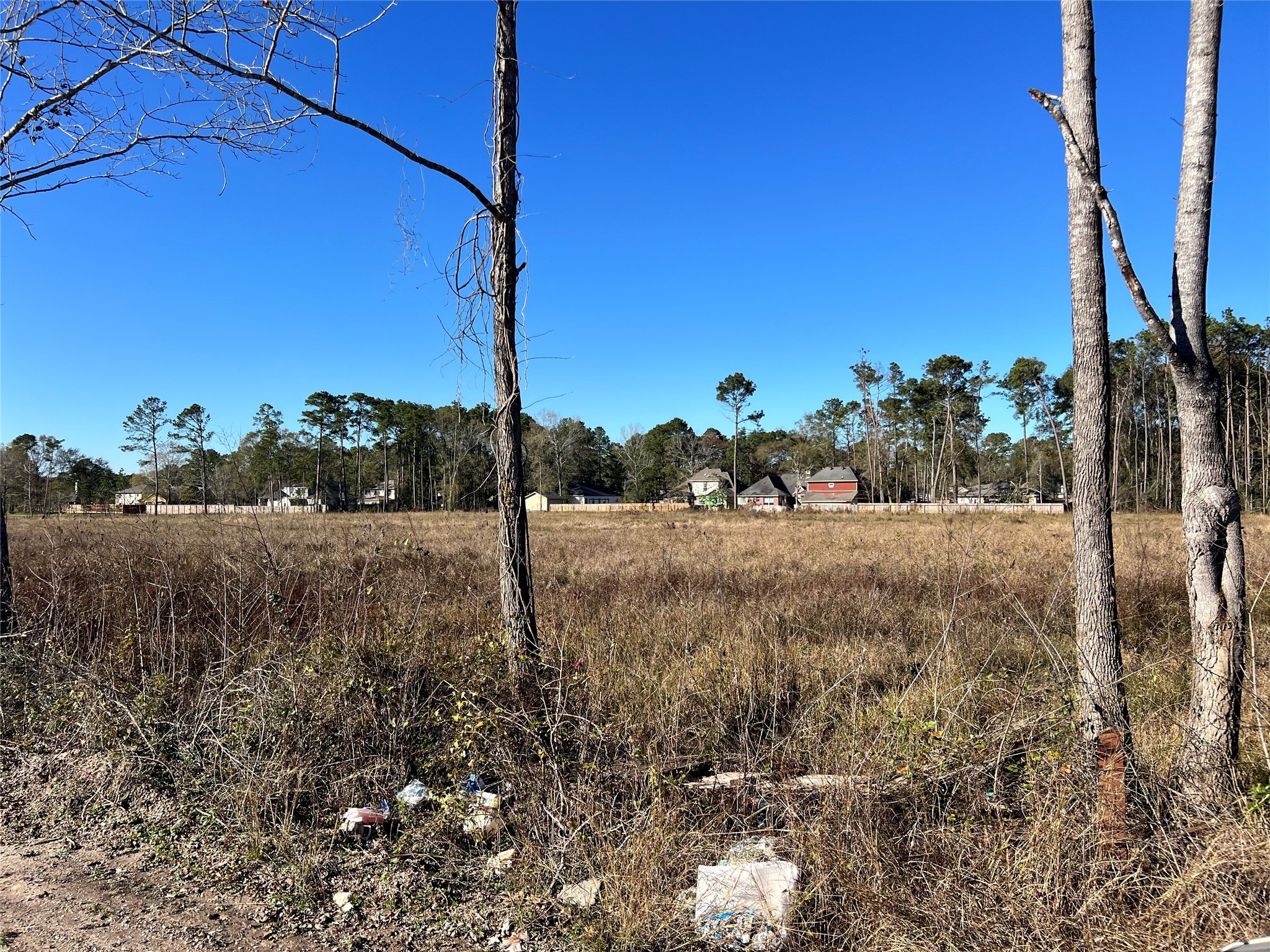 0 Lady Bug Court Porter, TX 77365 - Photo 9 of 14 a view of a yard