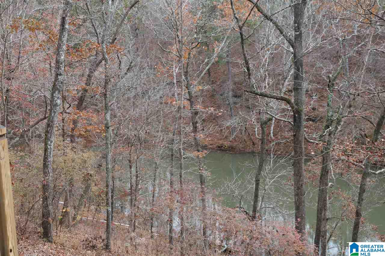 9018 Manley Vines Camp Road Bessemer, AL 35023 - Photo 31 of 46