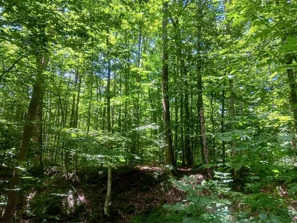 $39,500 | 357 Norton Road, Maryland, NY 12116