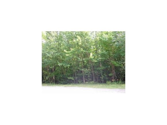 Lot 12 Ragged Mountain Road New Durham, NH 03855 - Photo 1 of 1 Gallery Image 1