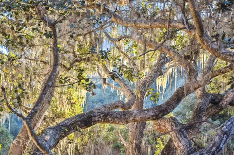 $1,695,000 | 1100 Castro Road, Monterey, CA 93940