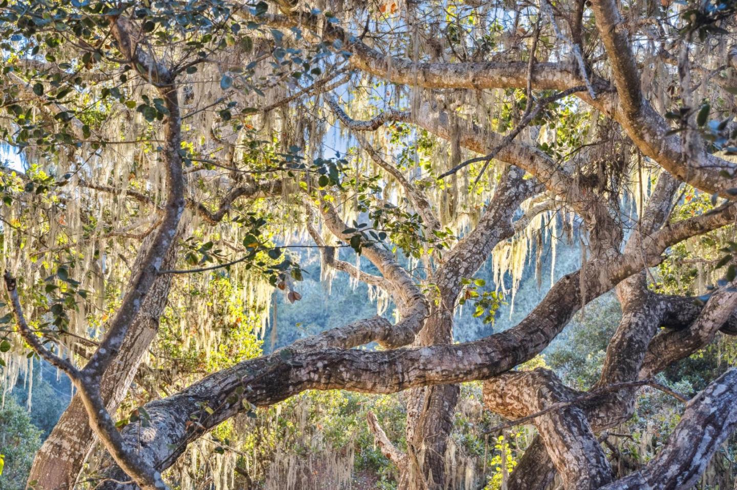 1100 Castro Road Monterey, CA 93940 - Photo 37 of 70