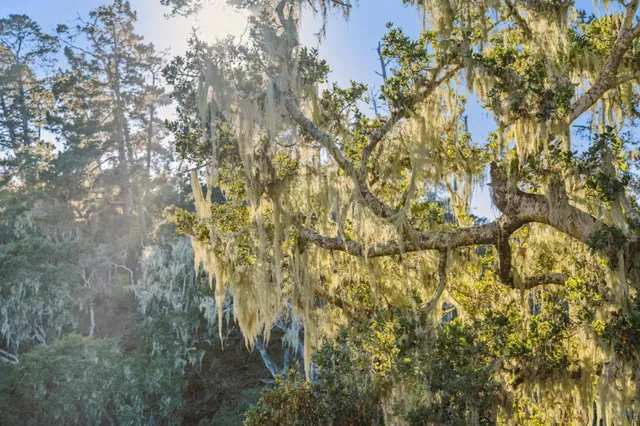 $1,695,000 | 1100 Castro Road, Monterey, CA 93940